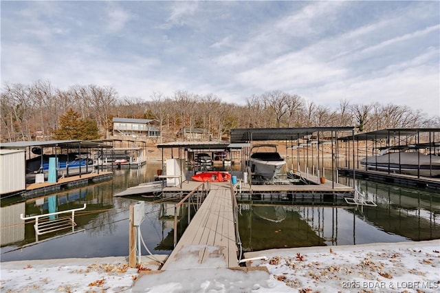 dock area with a water view