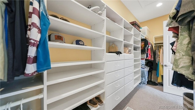 spacious closet with light carpet