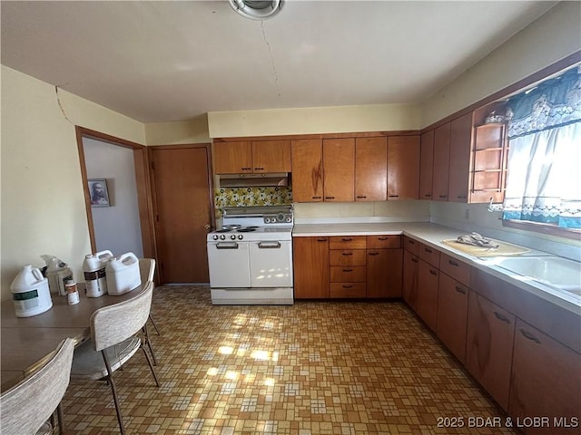 kitchen featuring sink, range with two ovens, and backsplash