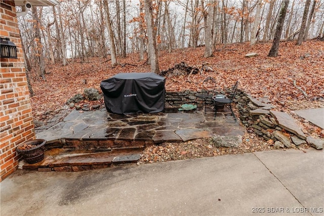 view of patio featuring a grill