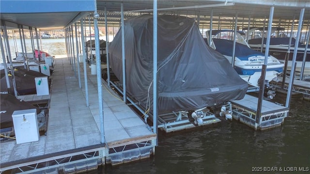 dock area with a water view