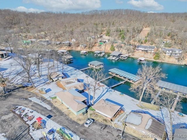 bird's eye view with a water view