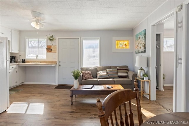 living room with ceiling fan and light hardwood / wood-style floors