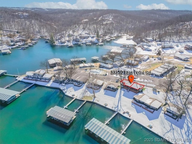 snowy aerial view with a water view