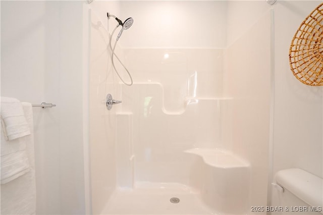 bathroom with toilet and a shower