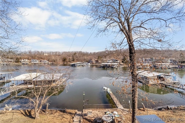 dock area featuring a water view