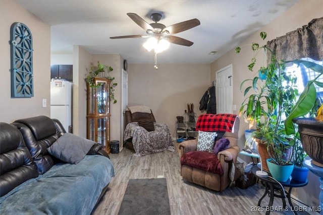 living room with hardwood / wood-style floors and ceiling fan