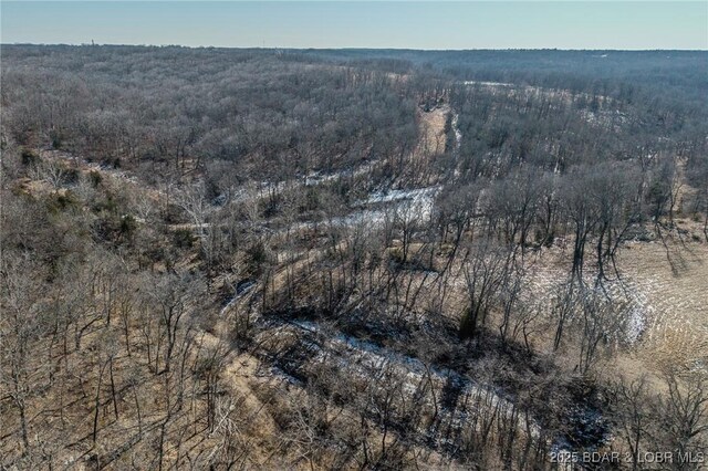 1389 Crater Hill Rd, Camdenton, MO 65020