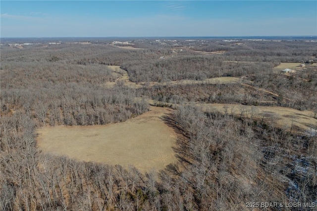 1389 Crater Hill Rd, Camdenton, MO 65020