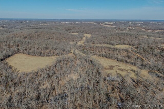 1389 Crater Hill Rd, Camdenton, MO 65020