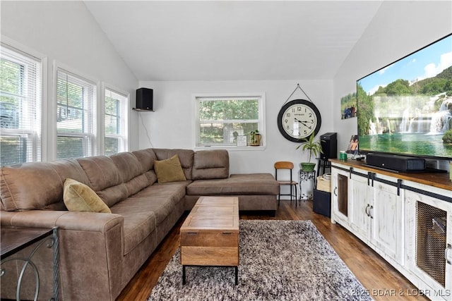 living room with lofted ceiling and dark hardwood / wood-style flooring