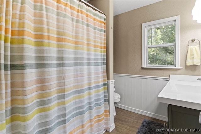 bathroom with vanity, wood-type flooring, and toilet