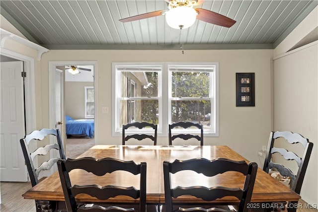 dining area with ceiling fan and light hardwood / wood-style floors