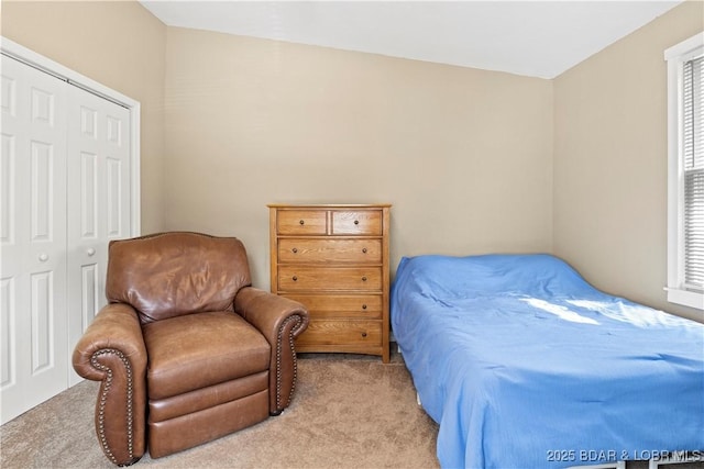 bedroom with multiple windows, a closet, and light carpet