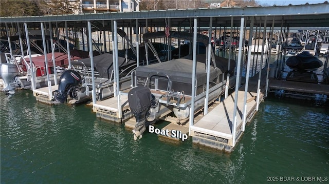 dock area featuring a water view