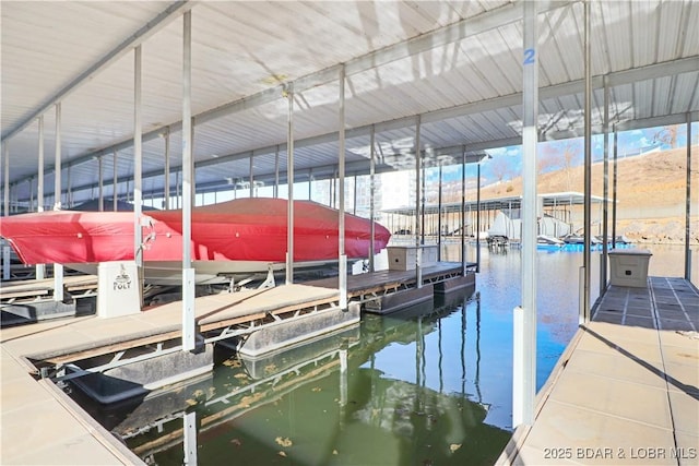 dock area with a water view