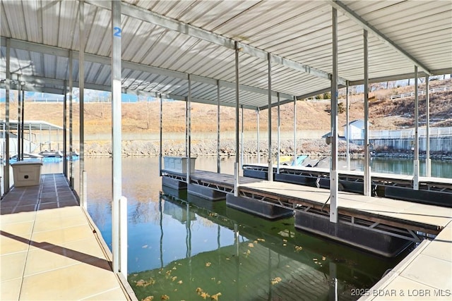 dock area with a water view