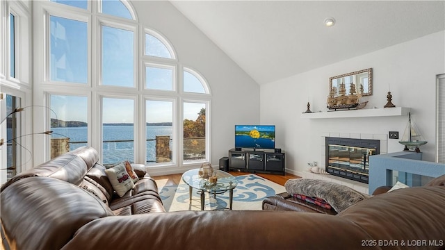 living room with wood-type flooring, a fireplace, and high vaulted ceiling