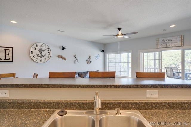 kitchen with sink, plenty of natural light, and ceiling fan