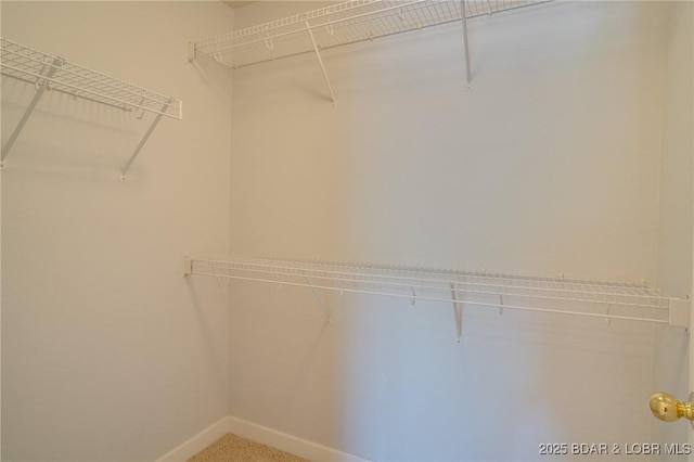 view of spacious closet