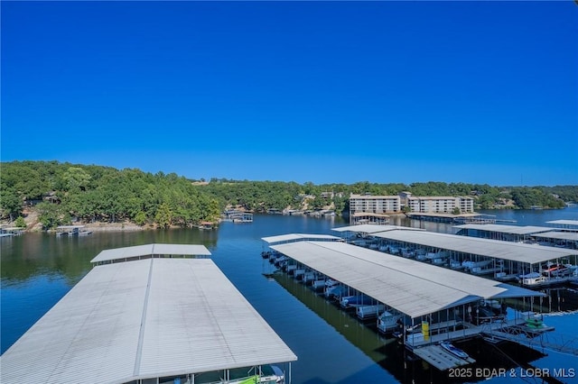 dock area with a water view