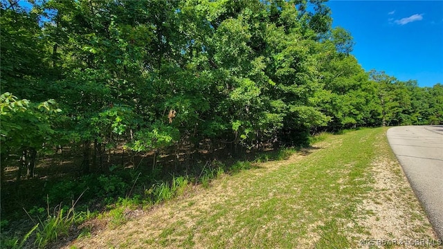 Listing photo 3 for LOT641 Grand Point Blvd, Porto Cima MO 65079