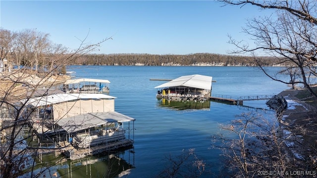 dock area featuring a water view