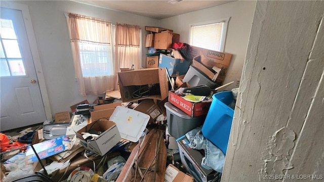 miscellaneous room with plenty of natural light