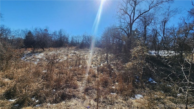 view of local wilderness