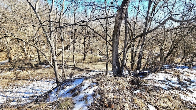 view of local wilderness