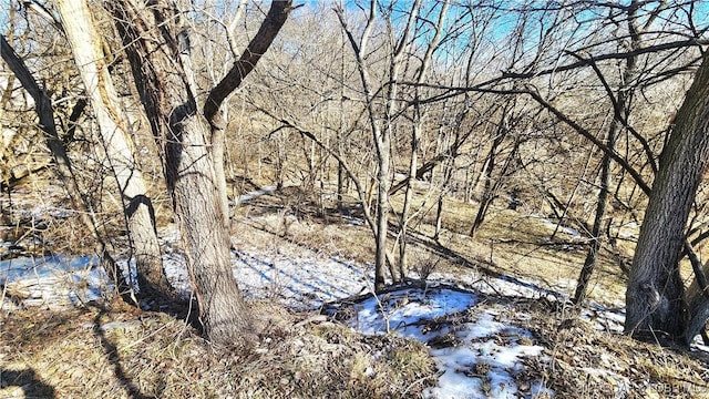 view of landscape