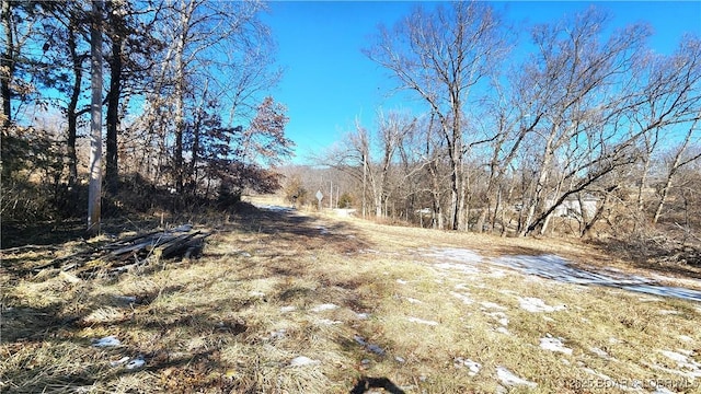 view of local wilderness