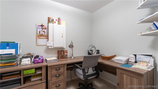 home office with carpet floors