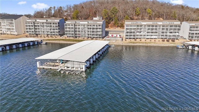 dock area with a water view