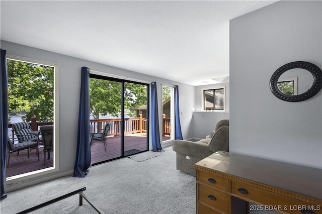 carpeted living room with plenty of natural light