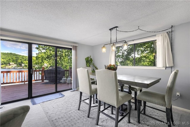 carpeted dining room featuring a textured ceiling