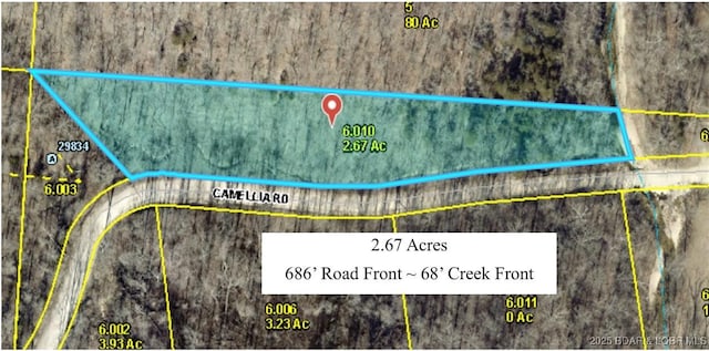 2.67ACRES Camellia Rd, Gravois Mills MO, 65037 land for sale