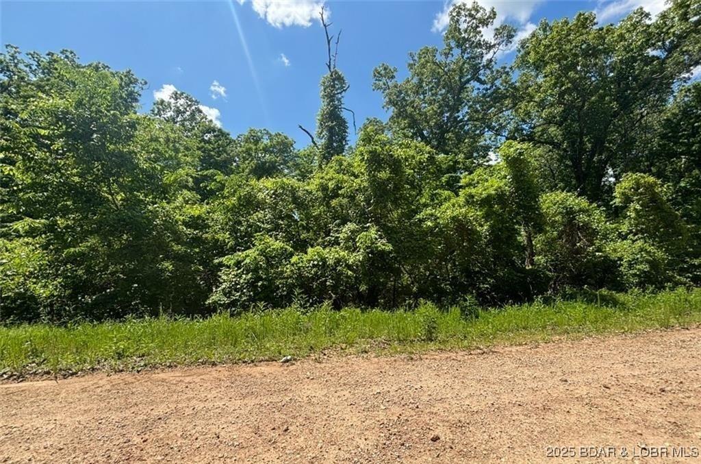 2.67ACRES Camellia Rd, Gravois Mills, MO 65037 - photo 2