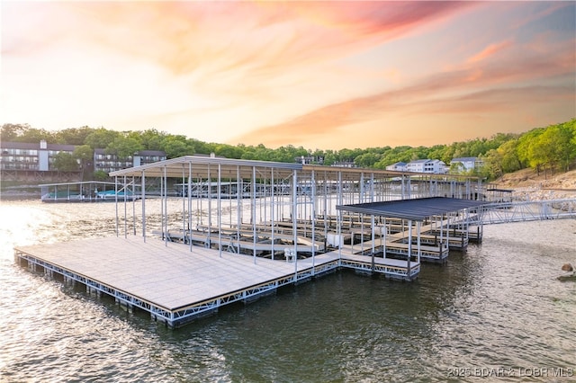 dock area featuring a water view