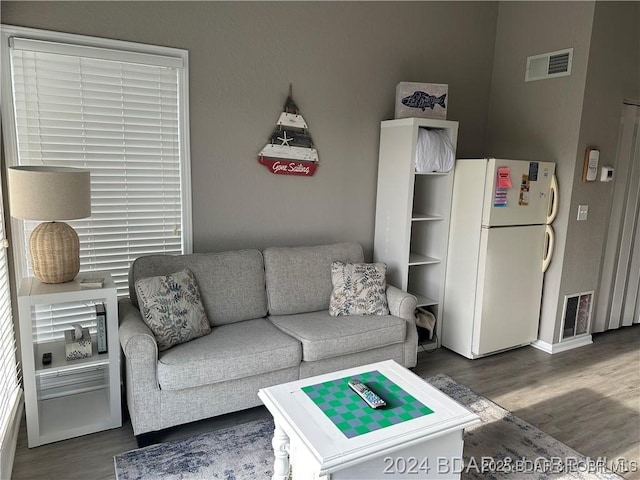 living room featuring dark wood-type flooring