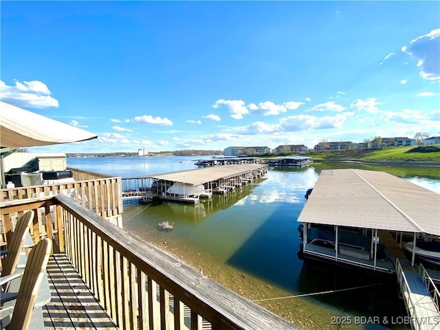 dock area with a water view