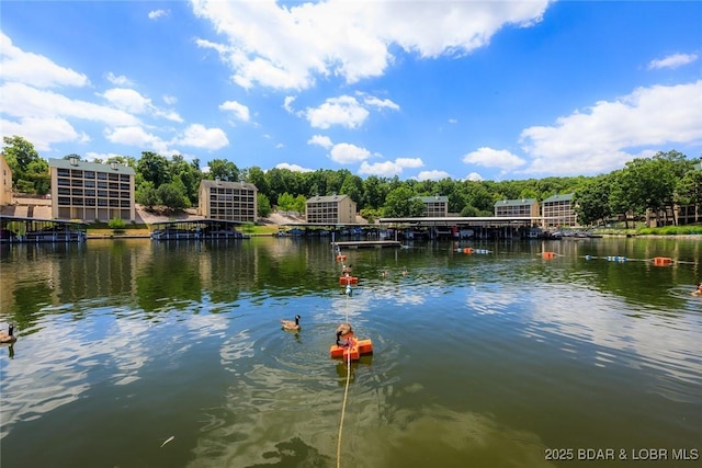 property view of water