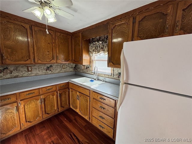 kitchen featuring dark hardwood / wood-style flooring, sink, ceiling fan, and white fridge