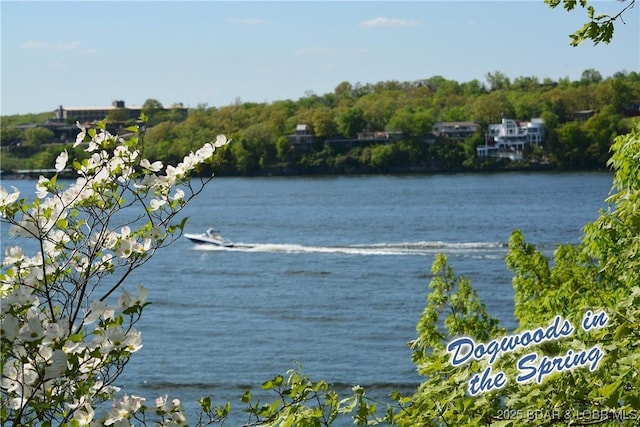 property view of water