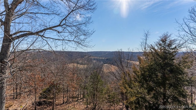 view of mountain feature