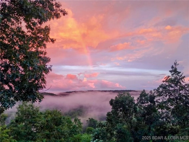 view of nature at dusk