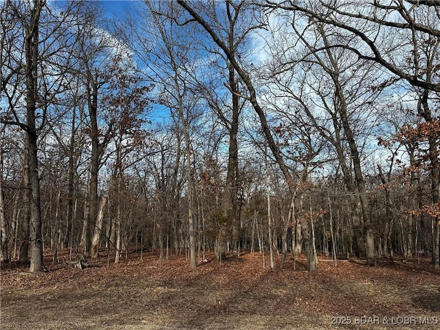 314 Grand Point Blvd, Porto Cima MO, 65079 land for sale