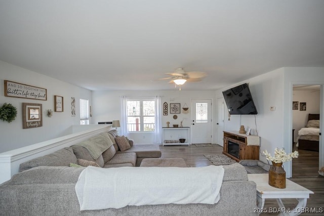 living room with ceiling fan, hardwood / wood-style floors, and a fireplace