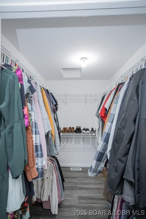 spacious closet with dark wood-type flooring