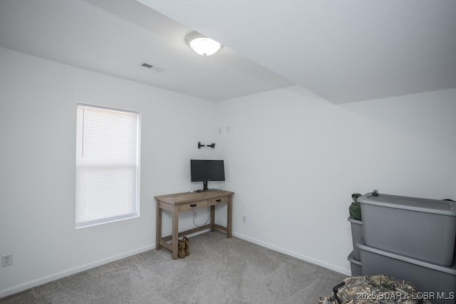 miscellaneous room featuring light colored carpet